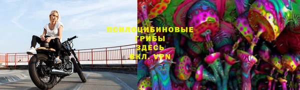 СК Бородино