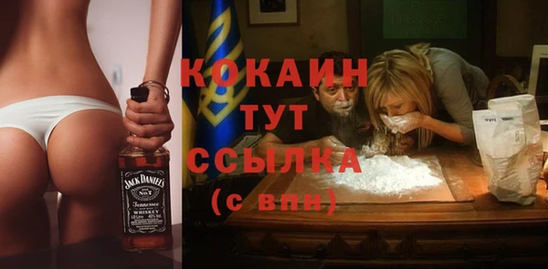гидра Бронницы