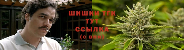гидра Бронницы