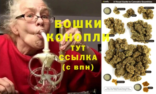стаф Богородск