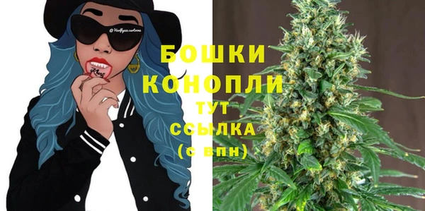 СК Бородино