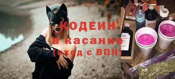 СК Бородино