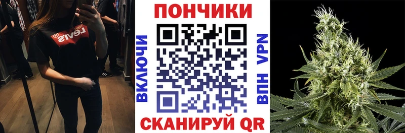 Канабис Bruce Banner  магазин продажи   Дальнегорск 
